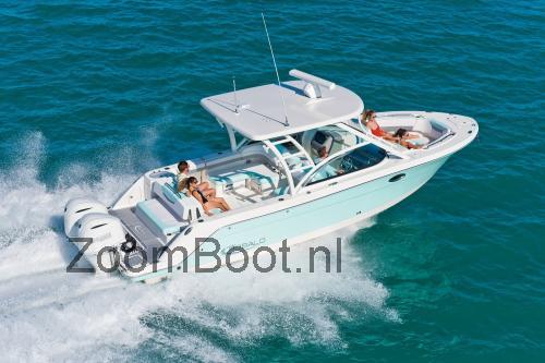 Robalo 317 specificaties